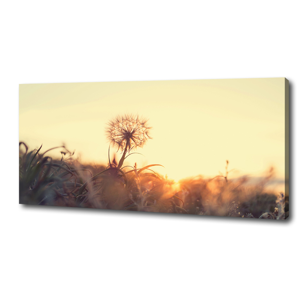 Canvas wall art Dandelion