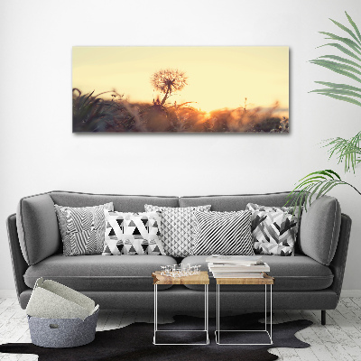 Canvas wall art Dandelion