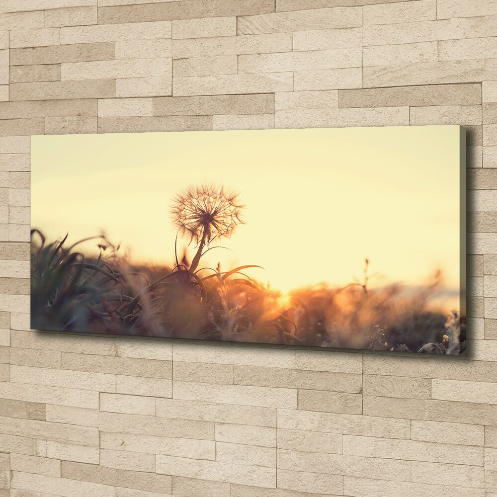 Canvas wall art Dandelion