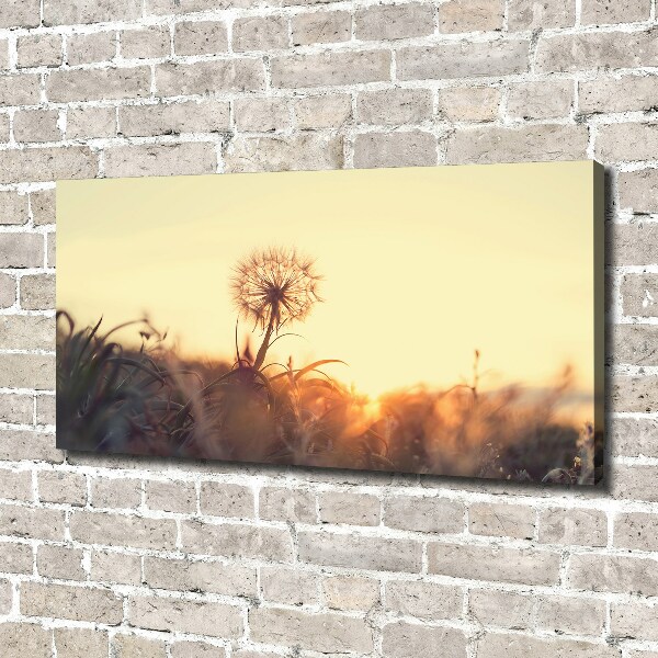 Canvas wall art Dandelion