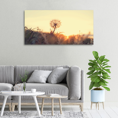 Canvas wall art Dandelion