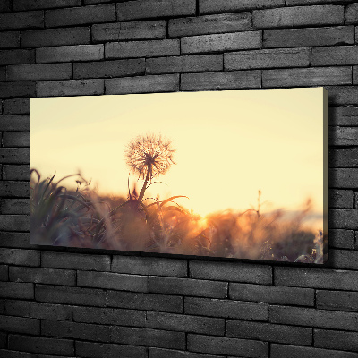 Canvas wall art Dandelion