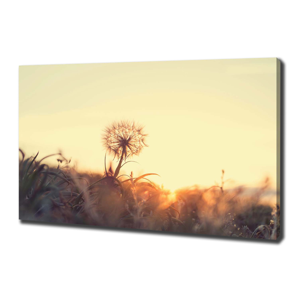 Canvas wall art Dandelion