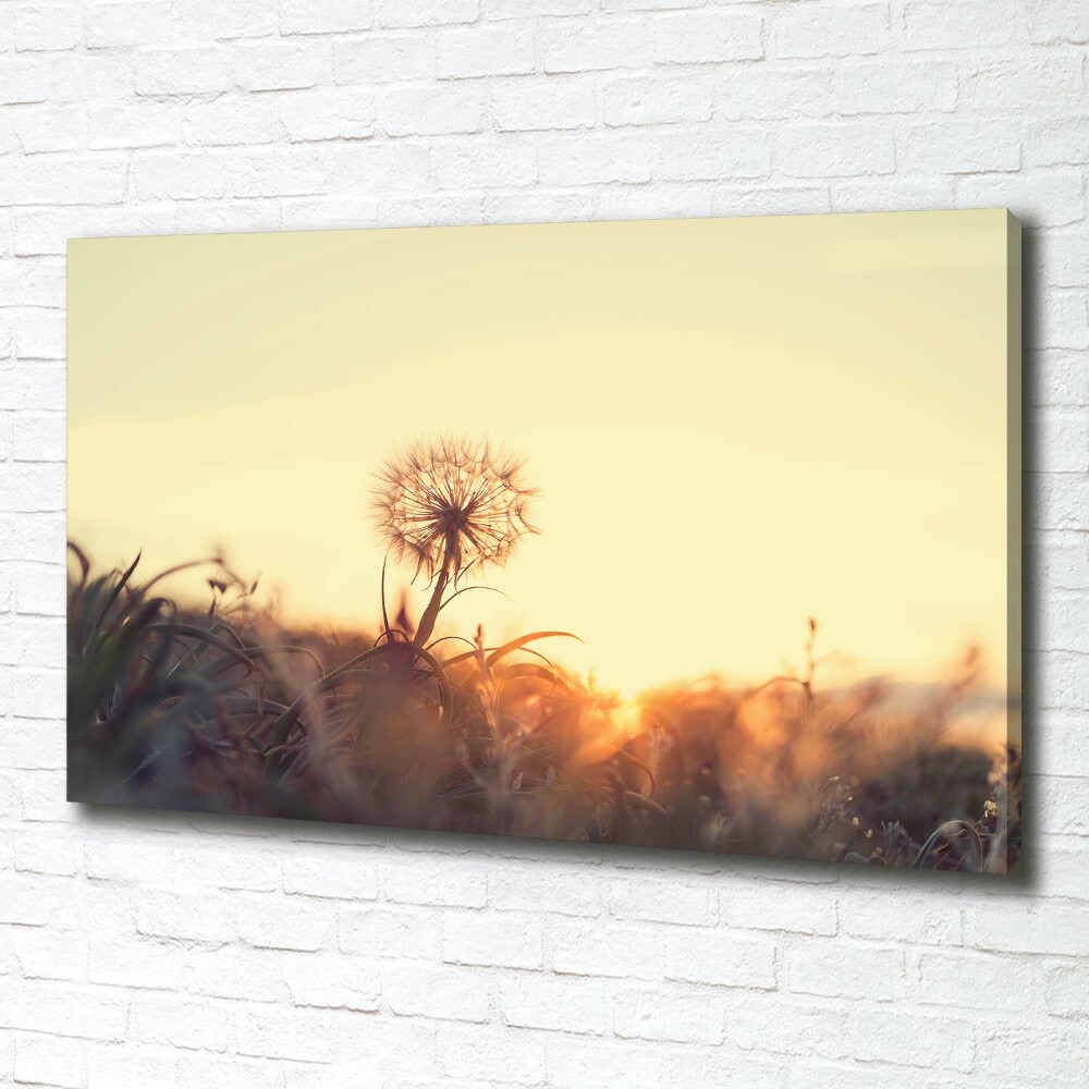 Canvas wall art Dandelion