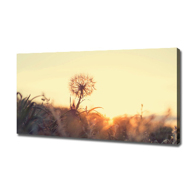 Canvas wall art Dandelion