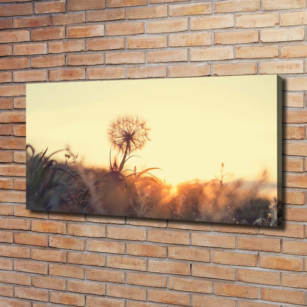 Canvas wall art Dandelion