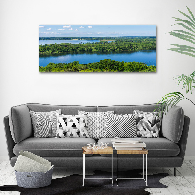 Canvas wall art Forest by the lake