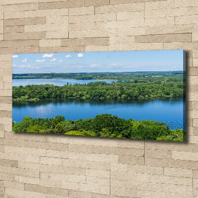 Canvas wall art Forest by the lake