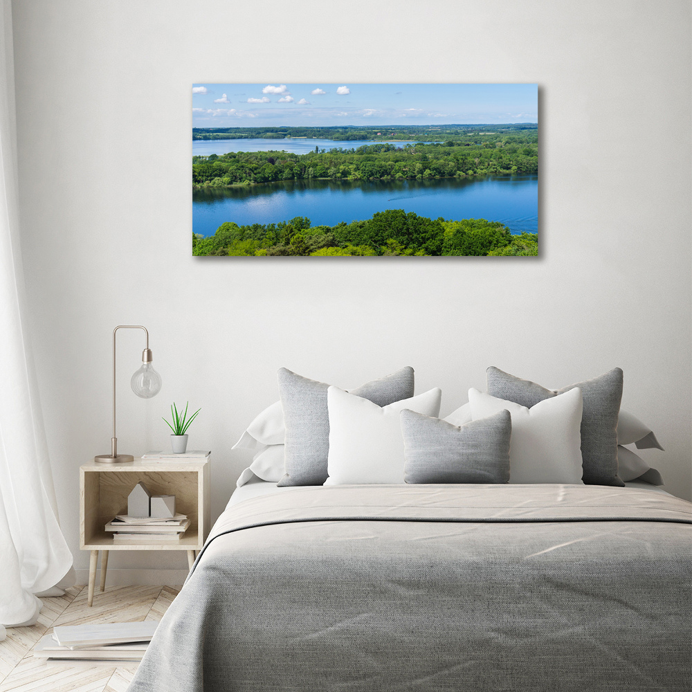 Canvas wall art Forest by the lake