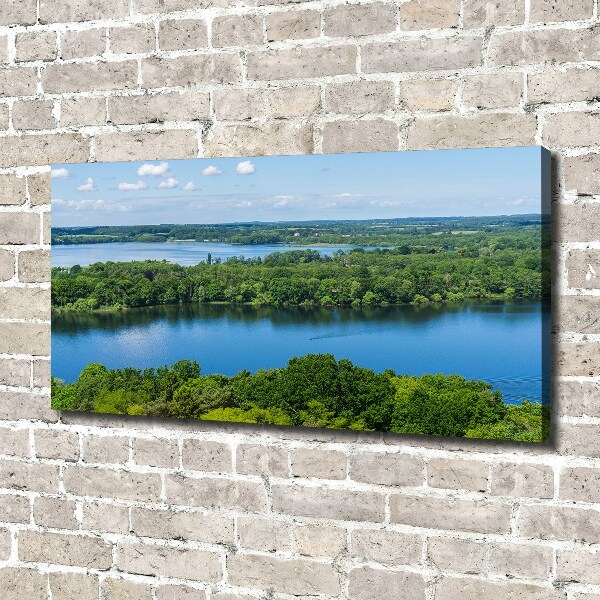 Canvas wall art Forest by the lake