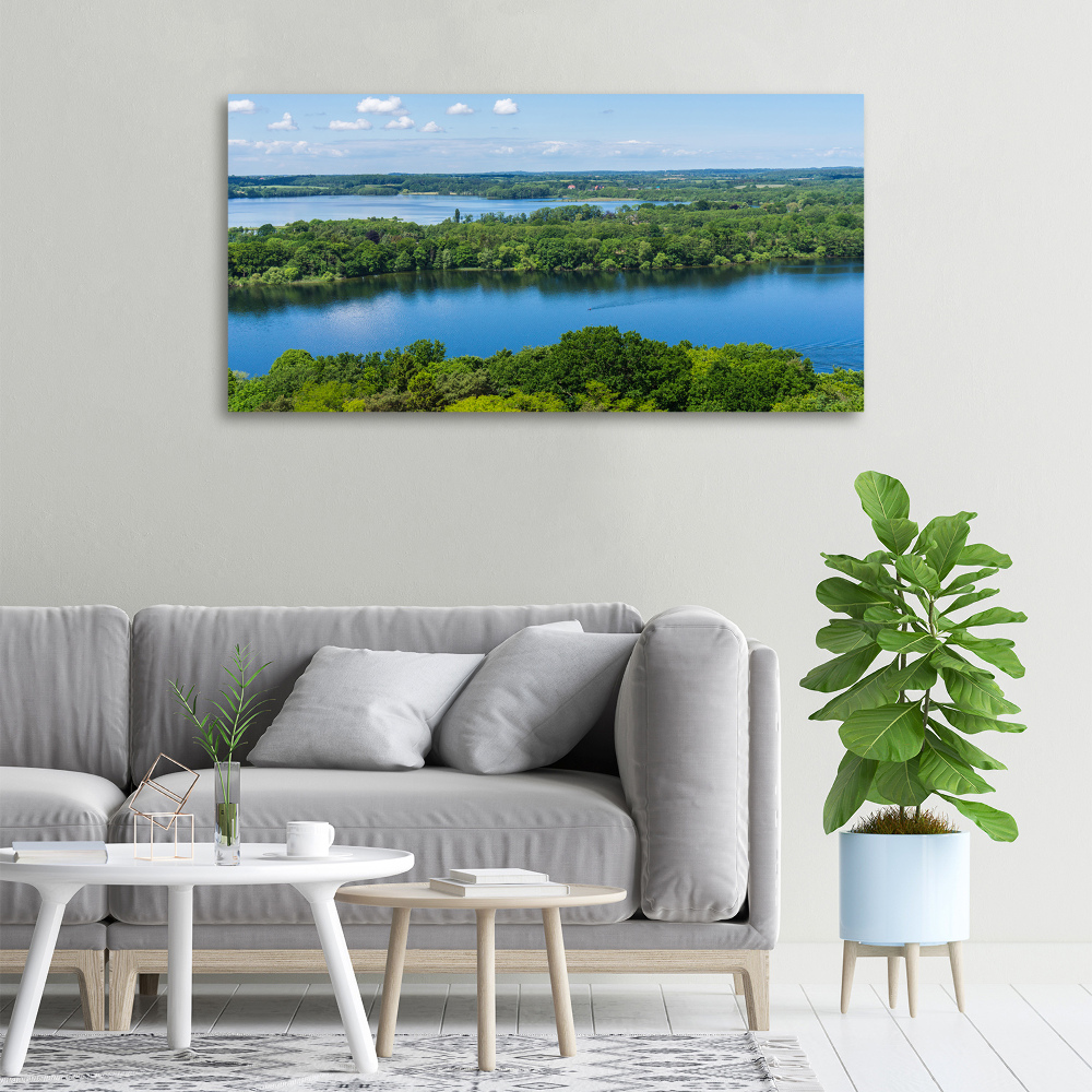 Canvas wall art Forest by the lake