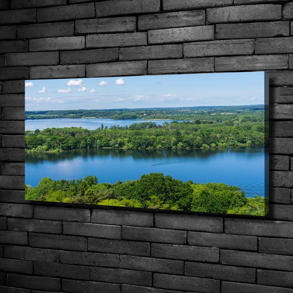 Canvas wall art Forest by the lake