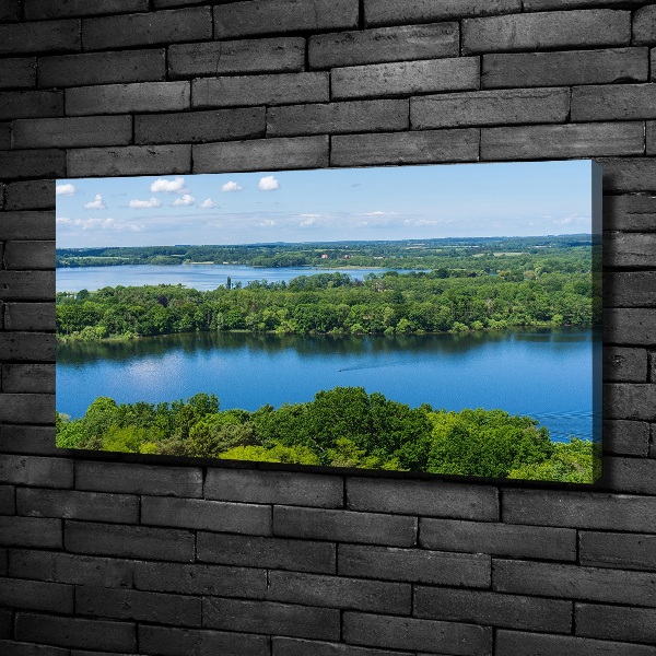 Canvas wall art Forest by the lake