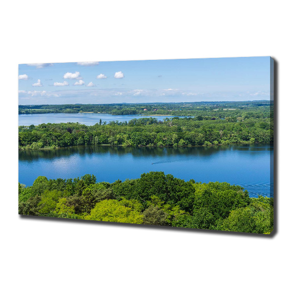 Canvas wall art Forest by the lake