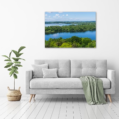 Canvas wall art Forest by the lake