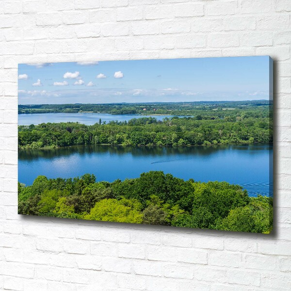 Canvas wall art Forest by the lake