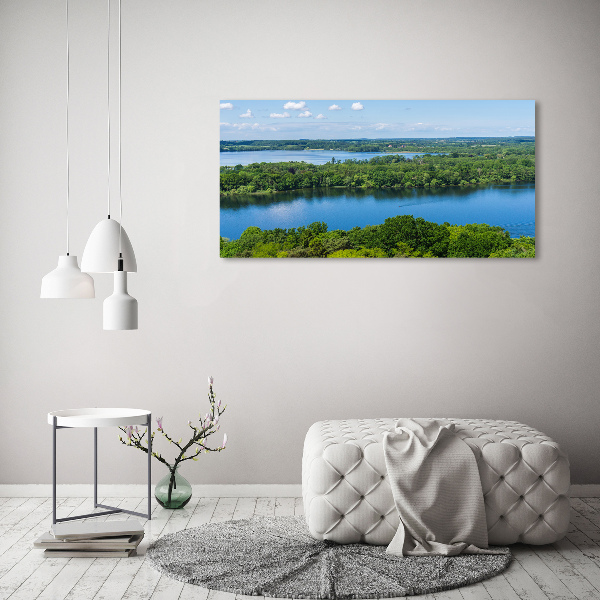 Canvas wall art Forest by the lake