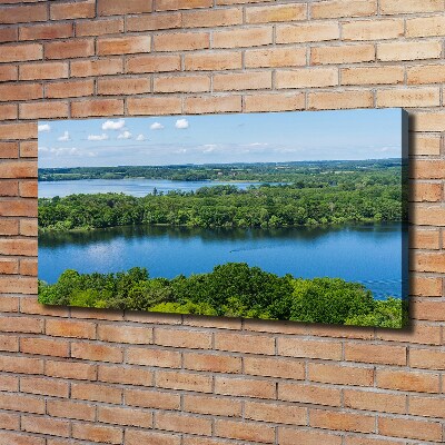 Canvas wall art Forest by the lake