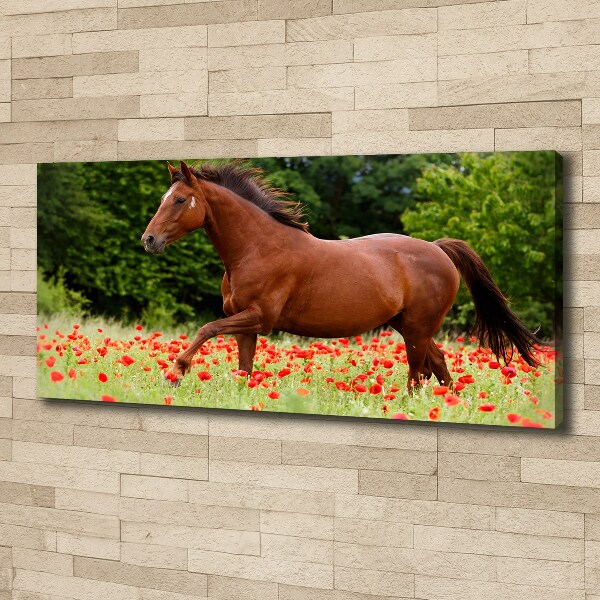 Canvas wall art A horse in the field of poppies