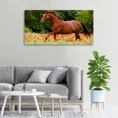 Canvas wall art A horse in the field of poppies