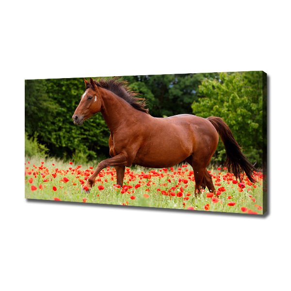 Canvas wall art A horse in the field of poppies