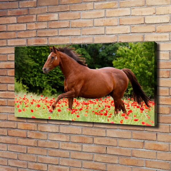 Canvas wall art A horse in the field of poppies