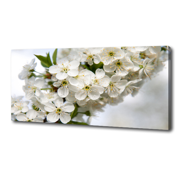 Canvas wall art Cherry blossoms