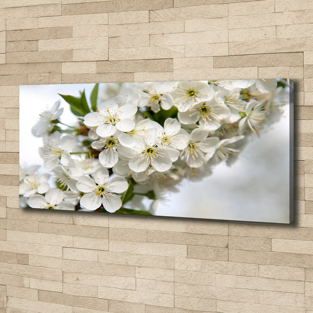 Canvas wall art Cherry blossoms