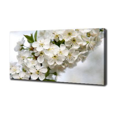 Canvas wall art Cherry blossoms