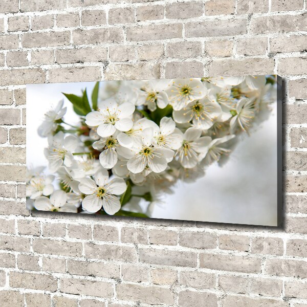 Canvas wall art Cherry blossoms