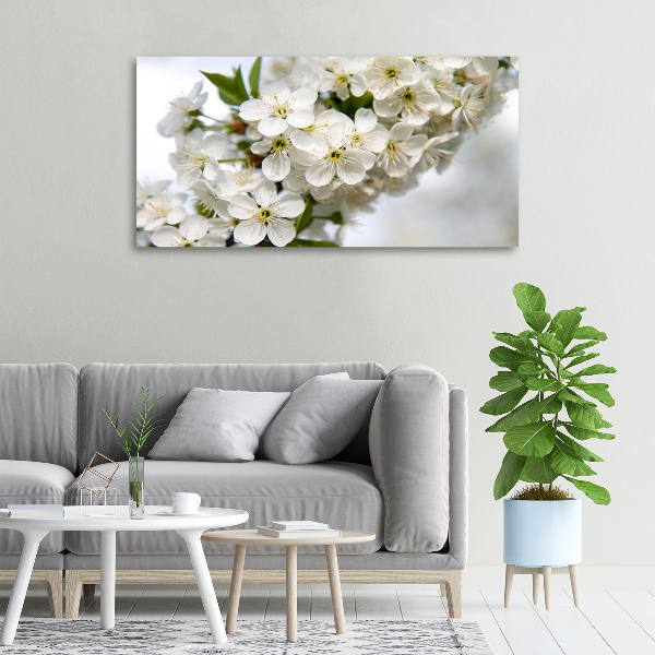 Canvas wall art Cherry blossoms