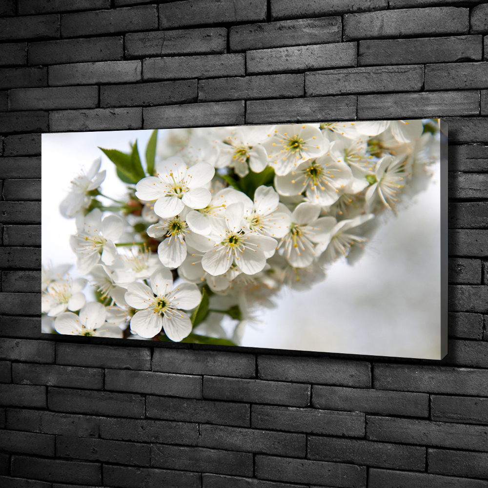 Canvas wall art Cherry blossoms