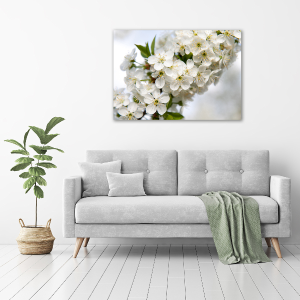 Canvas wall art Cherry blossoms