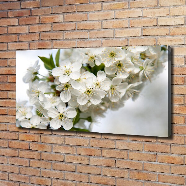 Canvas wall art Cherry blossoms