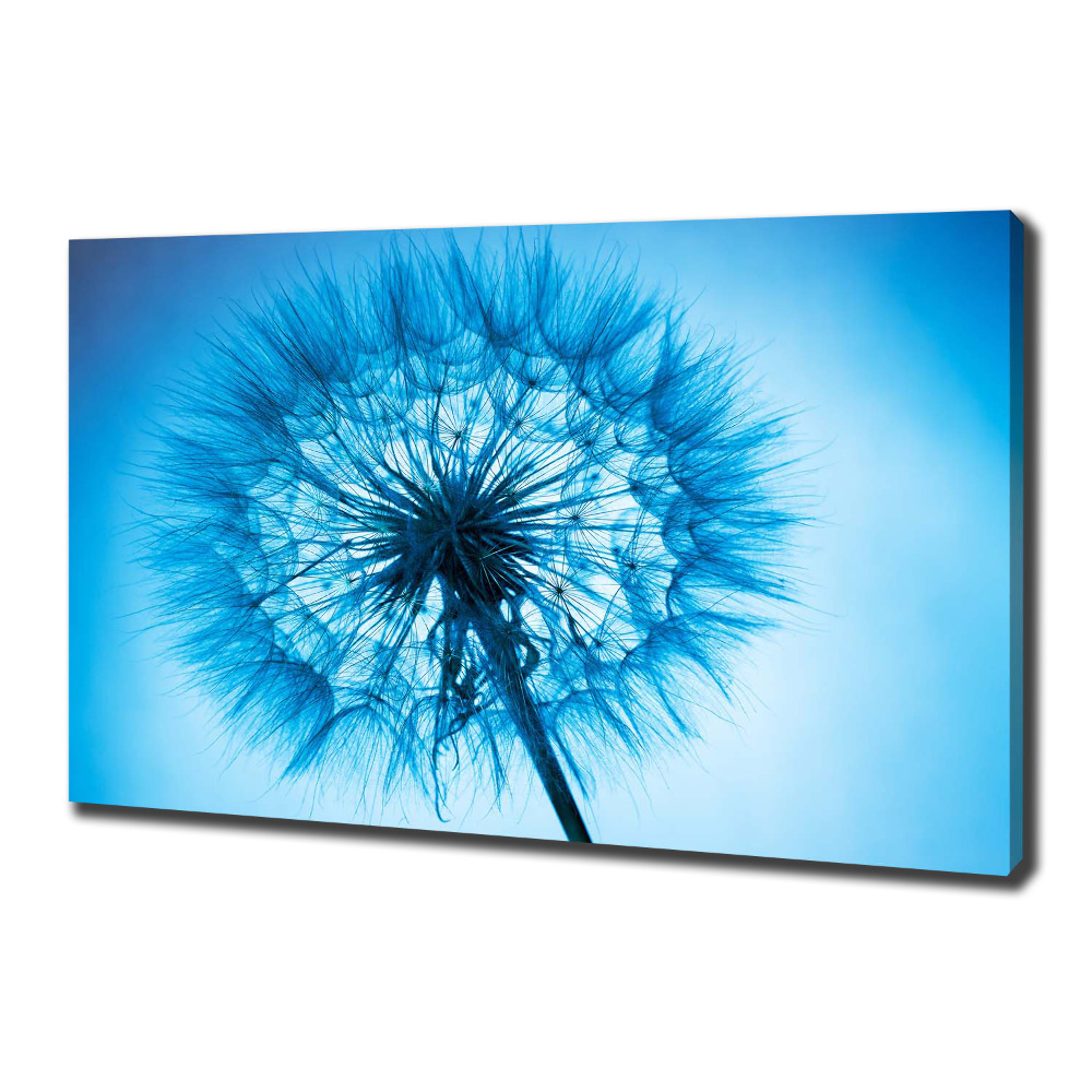 Canvas wall art Dandelion