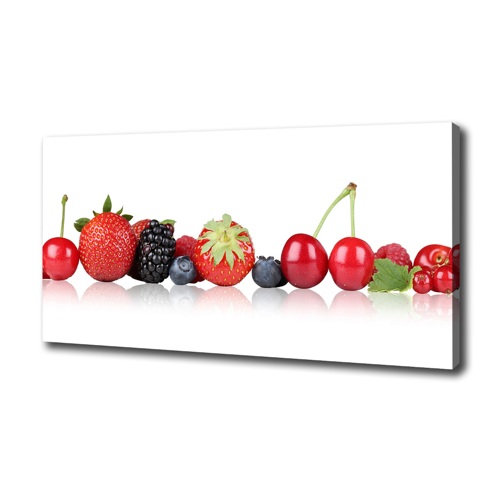 Canvas wall art Fruit in a row