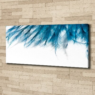 Canvas wall art Blue feathers