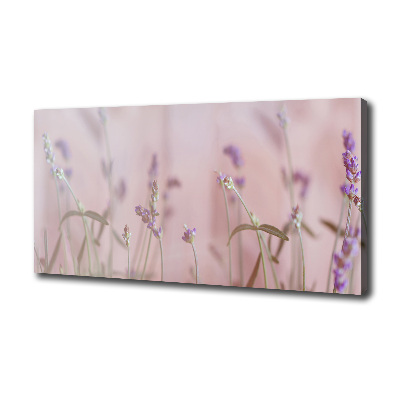 Canvas wall art Lavender