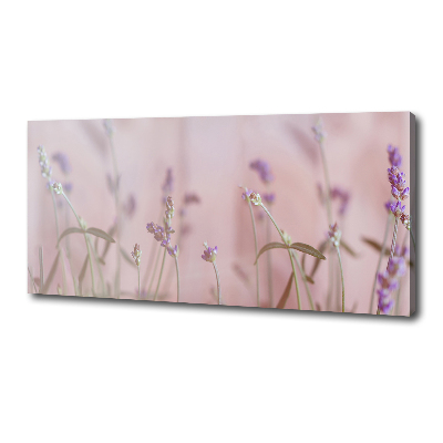 Canvas wall art Lavender