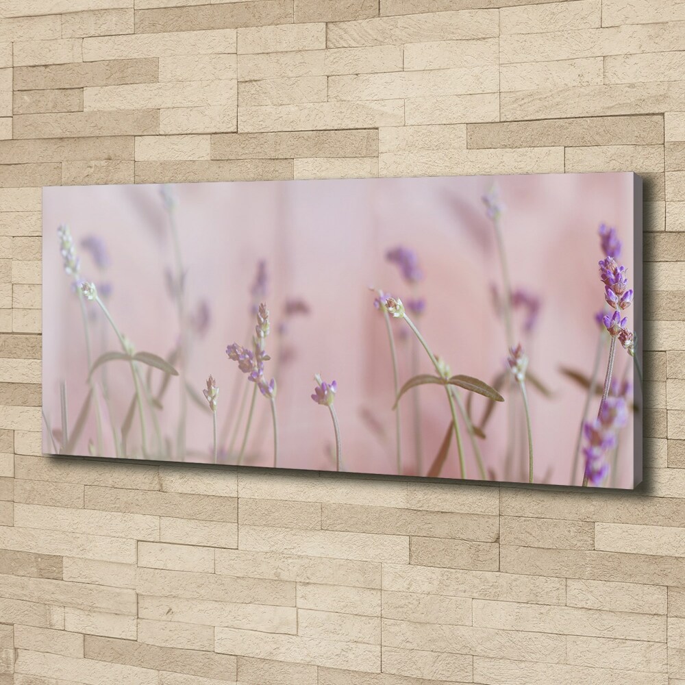 Canvas wall art Lavender