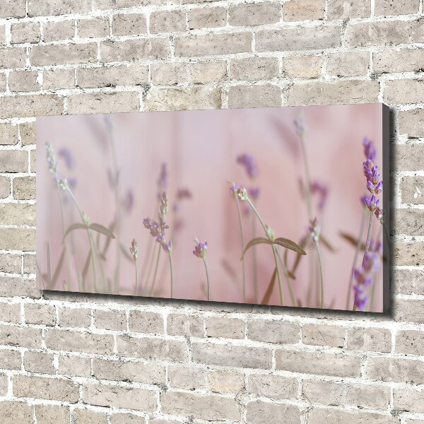 Canvas wall art Lavender