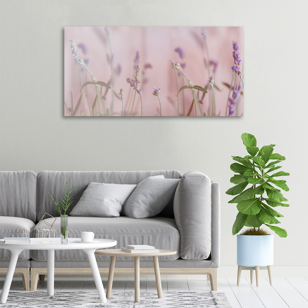 Canvas wall art Lavender