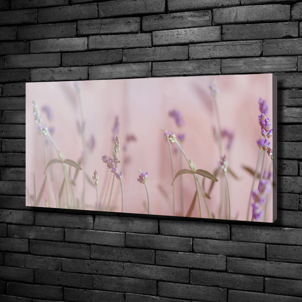 Canvas wall art Lavender