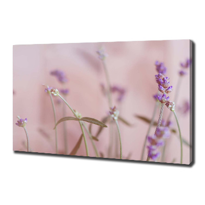 Canvas wall art Lavender