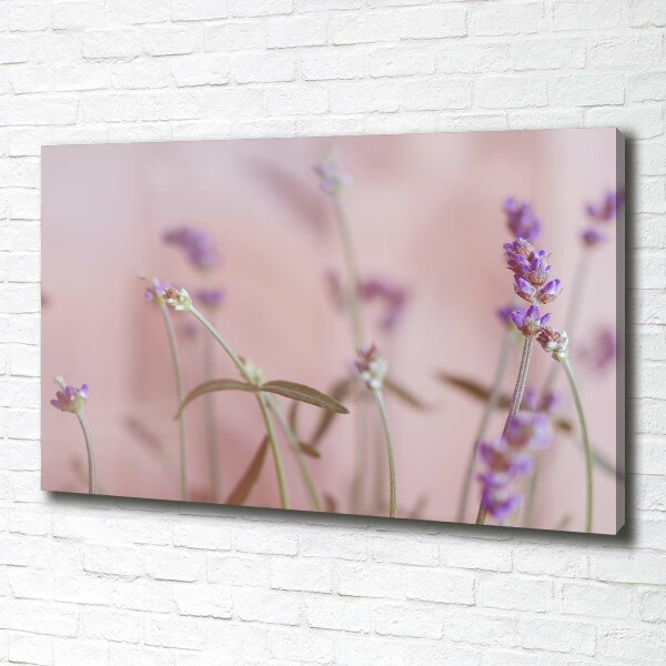 Canvas wall art Lavender