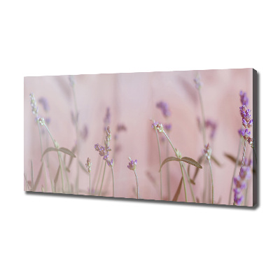 Canvas wall art Lavender