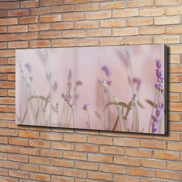 Canvas wall art Lavender