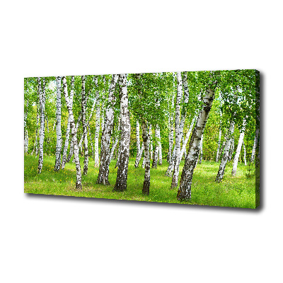 Canvas wall art Birch forest