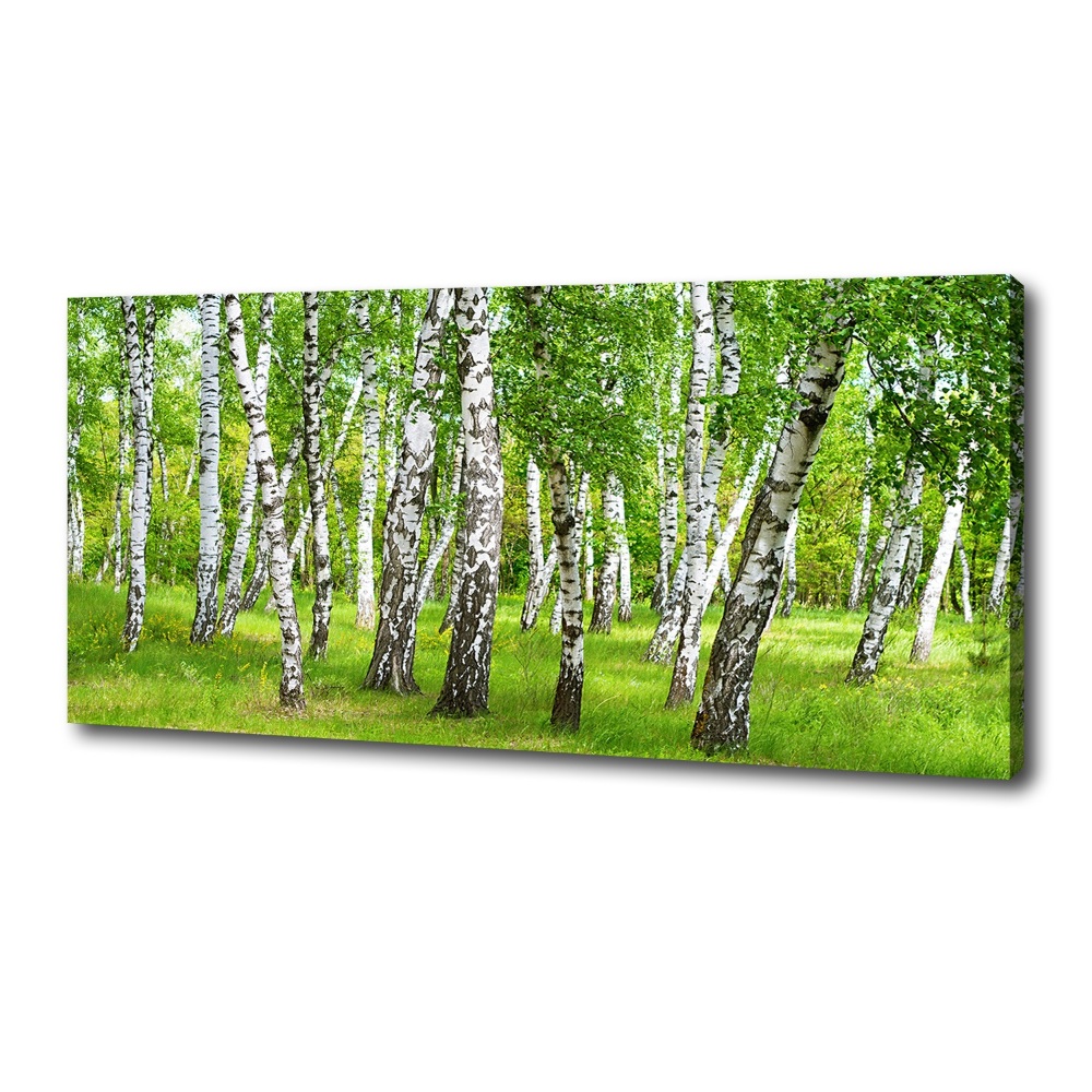 Canvas wall art Birch forest