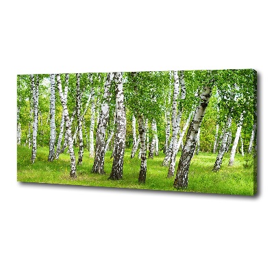 Canvas wall art Birch forest